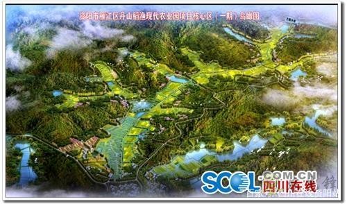 雁江丹山2萬畝稻漁現代農業園涵蓋數十個村社