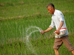 加強生物固氮科技創新，助力耕地資源保護與耕地質量提升