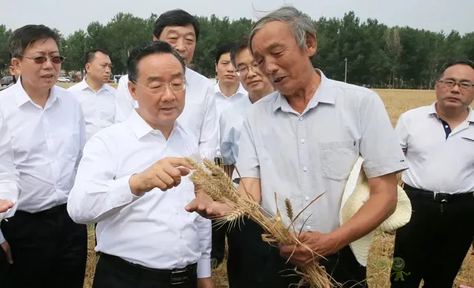 唐仁健部長：今年夏糧再獲豐收！多地機(jī)收損耗降低1個百分點以上！