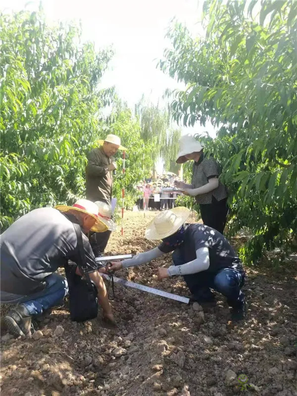 2021年特色作物農(nóng)機(jī)推廣田間日活動(dòng)在寧夏賀蘭成功舉辦