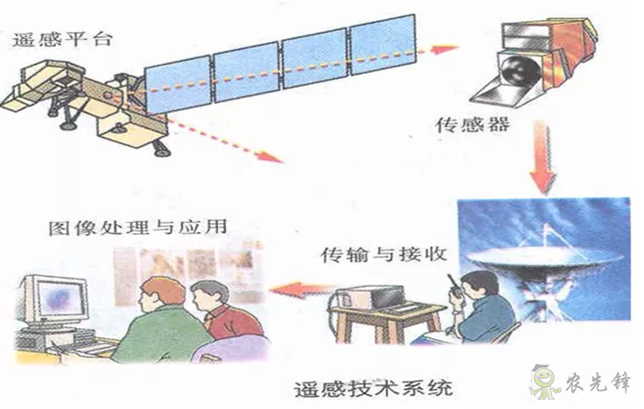 中國遙感衛星再添新成員 看TA在太空如何對農作物“稱斤計兩”？