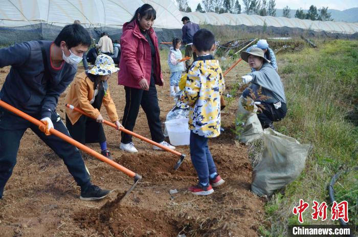 中法環境月：探索“混農林”可持續農業模式