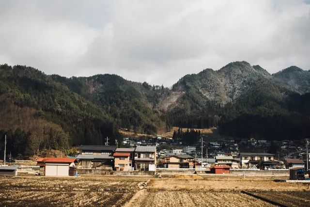 劉守英：鄉村振興需要改革城市化模式