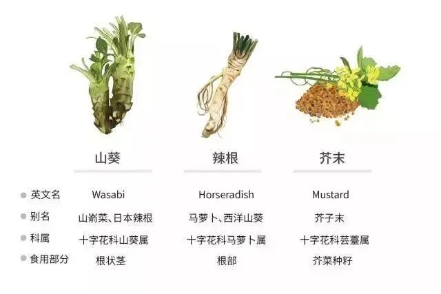 日本百年芥末農(nóng)場(chǎng)：精耕單品，專注美食，以靜制動(dòng)