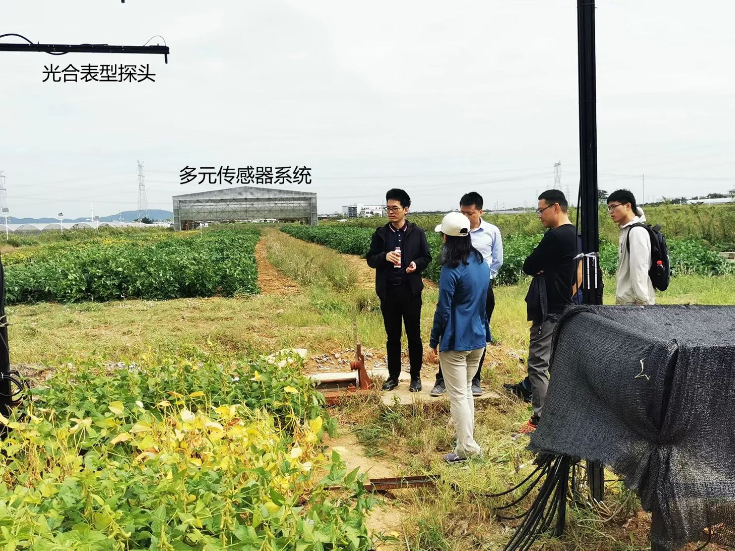 “元宇宙”里也可育種 南京農(nóng)業(yè)大學數(shù)字技術(shù)賦能農(nóng)業(yè)科研