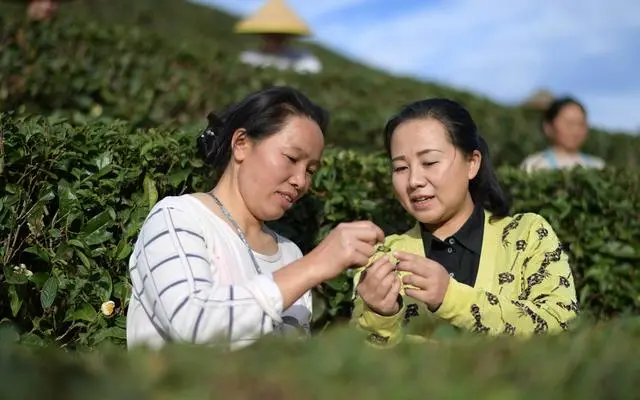 人民日報：推動涉農(nóng)職業(yè)教育高質(zhì)量發(fā)展